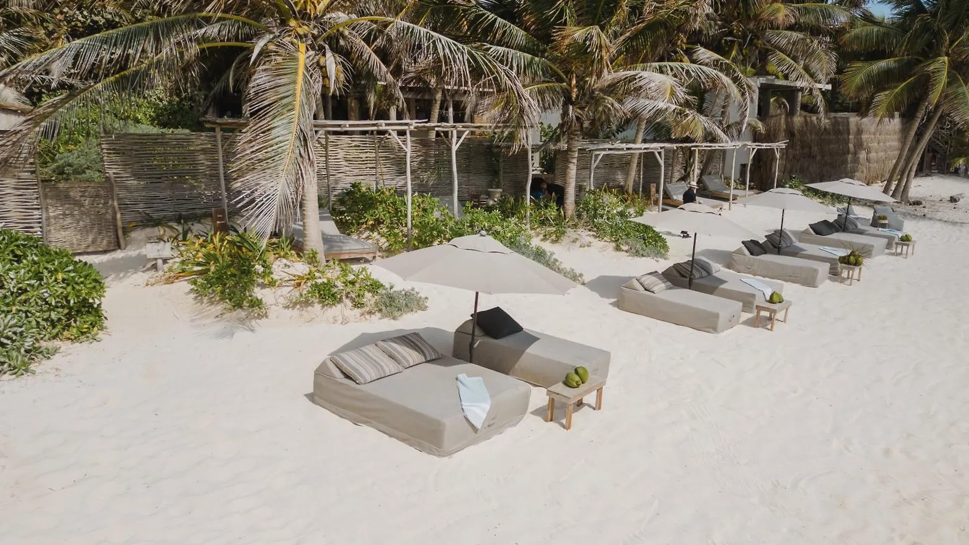 Tulum Tree House - 5Br Villa With Beach Access By Aldea Canzul